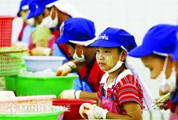 Những công việc nào được sử dụng người dưới 15 tuổi ?