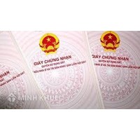 Mẫu đơn cấp lại, cấp đổi giấy chứng nhận quyền sử dụng đất mới nhất?