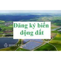 Mẫu đơn đăng ký biến động đất đai?