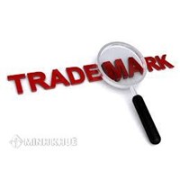 Consultation service on amendment of application/ protection title of trademarks, industrial design and invention