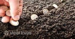 Mức xử phạt khi nộp chậm tiền sử dụng đất theo quy định mới nhất?
