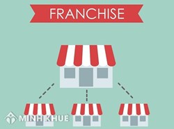 Consulting services related to franchising