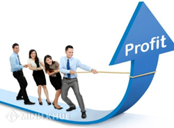 Xung quanh vấn đề phân chia lợi nhuận trong doanh nghiệp