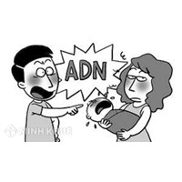 Thủ tục nhận cha con mới nhất theo quy định của pháp luật ?