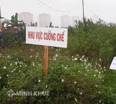 Mẫu Quyết định cưỡng chế thu hồi đất theo quy định hiện hành!