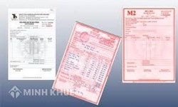 Hướng dẫn xử lý hóa đơn khi thay đổi tên, địa chỉ công ty theo quy định của pháp luật