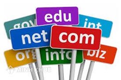 Domain name registration service provided by Minh Khue Law Firm