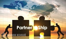 Consultancy service on the establishment of partnerships