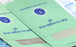 Thủ tục và hình thức xử lý đối với việc công ty báo tăng lao động chậm trễ?