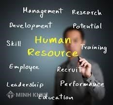 Developing regulations on human resource management, salary policy, bonus