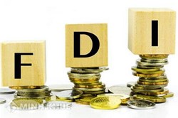 Lawyer counseling on foreign investment law