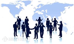 Consulting services for the establishment of professional associations