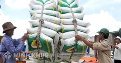 Điều kiện kinh doanh xuất khẩu gạo từ ngày 01 tháng 10 năm 2020