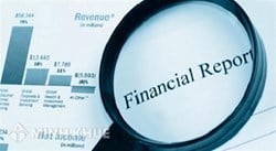 The service provides financial information of the business