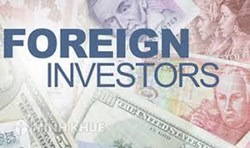 Investment consultancy services for foreign investors in Vietnam