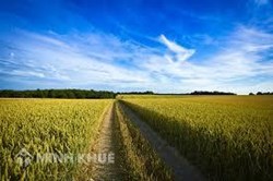 Inherite land from parents, does the heir have to pay personal income tax?