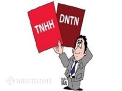Lựa chọn Doanh nghiệp tư nhân hay Công ty TNHH một thành viên?