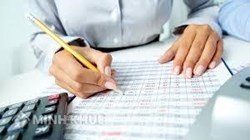 Accounting consultancy service for businesses
