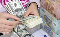 Hướng dẫn điền đơn đăng ký khoản vay nước ngoài không được chính phủ bảo lãnh