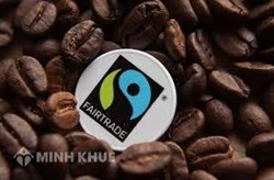 Quy trình cấp chứng nhận thương mại bình đẳng Fair Trade Coffee