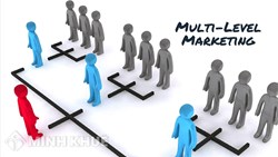 Consulting services for granting multi-level marketing licenses