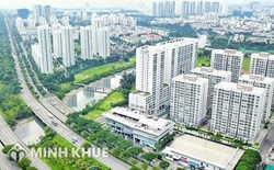 Điều kiện hoạt động của tổ chức tư vấn xác định giá đất.