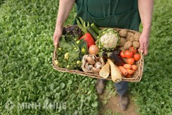 Điều kiện kinh doanh sản phẩm biến đổi gen làm thực phẩm