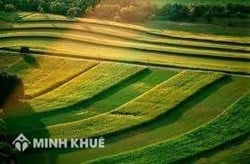 Người sử dụng đất bao gồm những đối tượng nào?