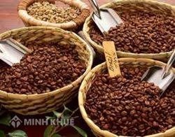 Nhượng quyền cửa hàng cà phê: Thương hiệu Việt Nam còn đứng ngoài...