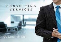 Consultancy service intellectual property law Vietnam