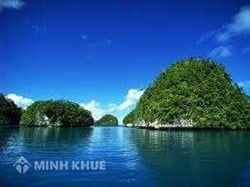 Tourist's total revenue reaches 18 – 19 billion vnd by 2020