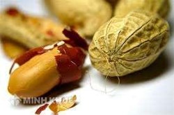 Mẫu hợp đồng nhập khẩu lạc nhân bằng tiếng việt và tiếng anh