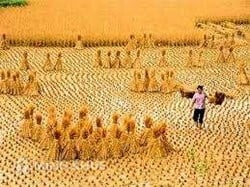 To 2016, Finish fast alert warning on food security
