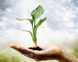 Certificate for environmental observation service validates in 3 years