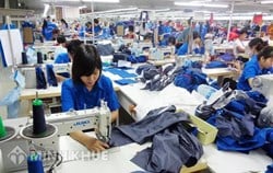 Thời gian nghỉ sinh có được tính vào thời gian nghỉ phép năm đối với người lao động không?