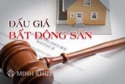 Tư vấn thành lập công ty đấu giá tài sản