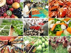 Thủ tục xin giấy phép chứng nhận vệ sinh an toàn thực phẩm ?