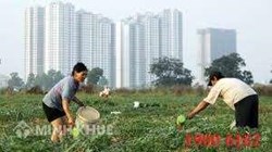 UBND xã có quyền thu hồi đất khai hoang không?