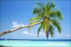 Tư vấn luật du lịch và hoạt động quản lý du lịch tại Việt nam ?