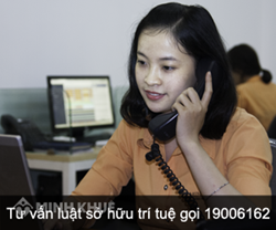 Tuyển luật sư tập sự, sinh viên thực tập