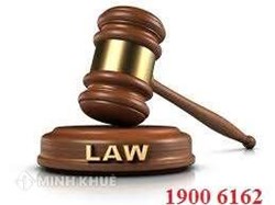 Quy định chuyển đất khai hoang thành đất đấu thầu của UBND xã?