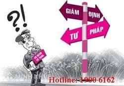 Tư vấn về giám định tư pháp ?