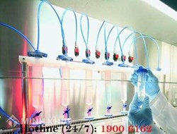Thủ tục thành lập phòng lab đạt tiêu chuẩn ?