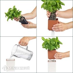 Trồng cây cách ranh giới đất mấy mét thì hợp pháp ?
