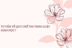 Tư vấn về quy chế thi theo luật giáo dục ?
