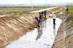 Xã có quyền yêu cầu đào lại mương đã san lấp không ?