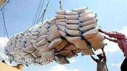 Tư vấn quy trình và thủ tục đăng ký hợp đồng xuất khẩu gạo ?
