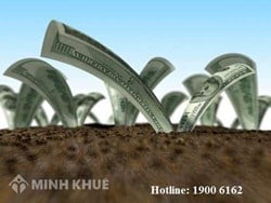 Tư vấn nộp thuế nhà đất ?