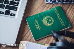 Mẫu đơn xin cấp lại hộ chiếu (Mẫu TK/HC/GTH)