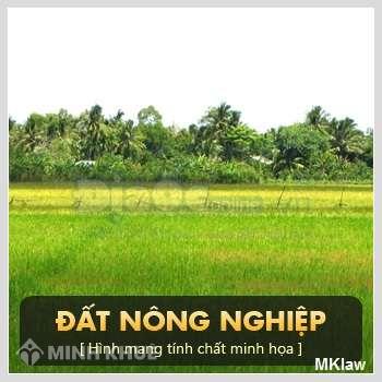 Chuyển mục đích sử dụng đất nông nghiệp sang đất thổ cư?